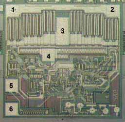CS5203 DIE LAYOUT - MECHANICAL SPECIFICATIONS